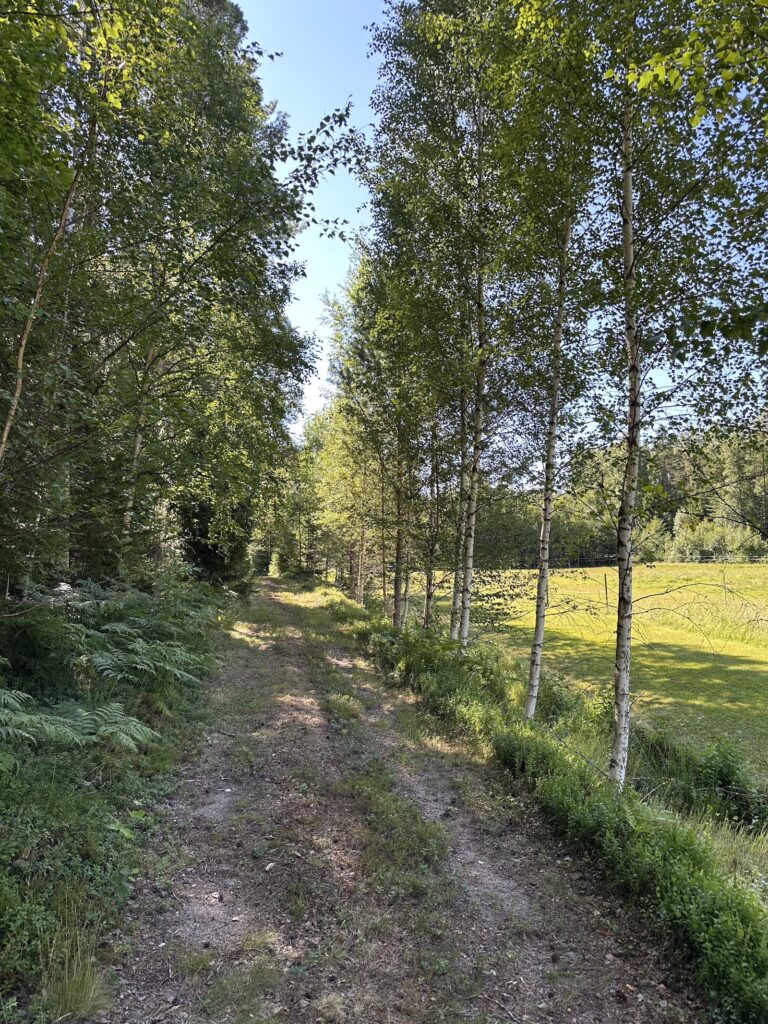 Img 7798 2