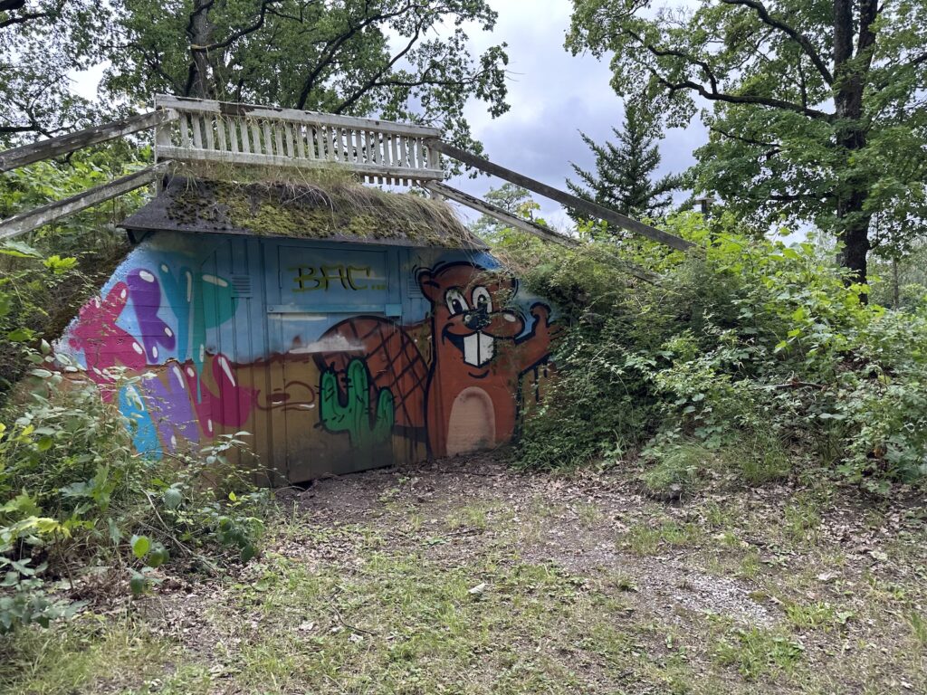 Img 7855