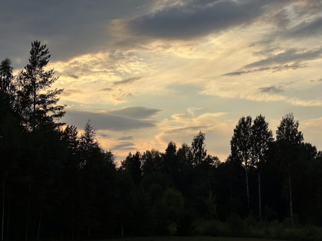 Img 1914