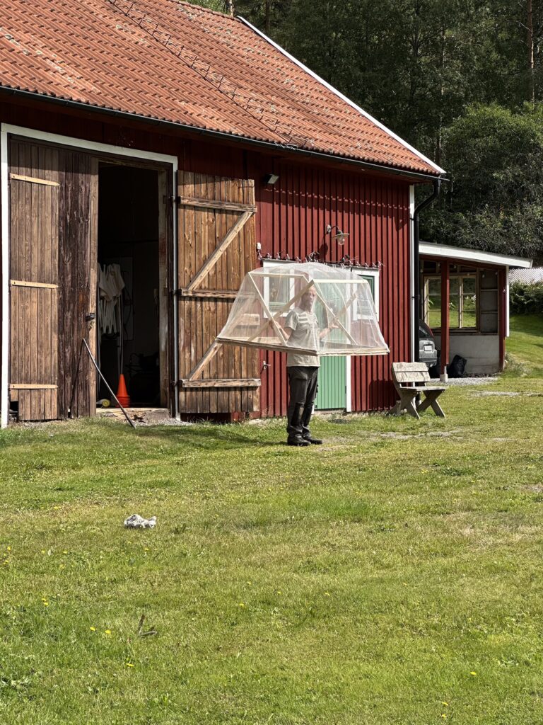 Img 8448
