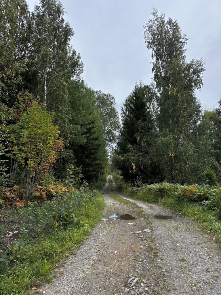 Img 8795