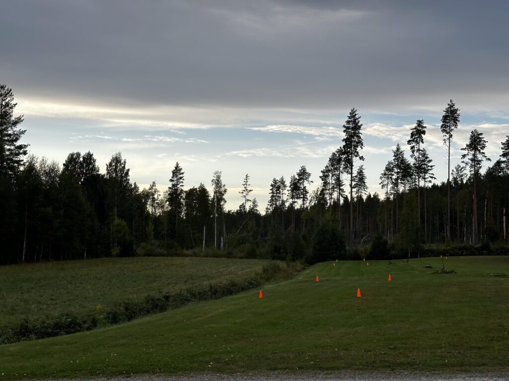 Img 8840 2