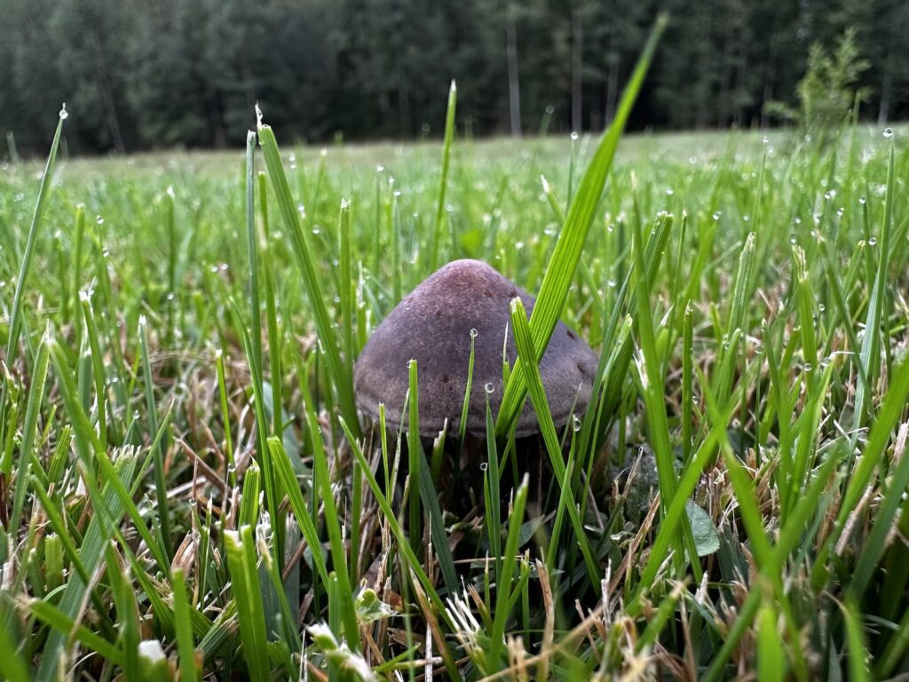 Img 8843 2