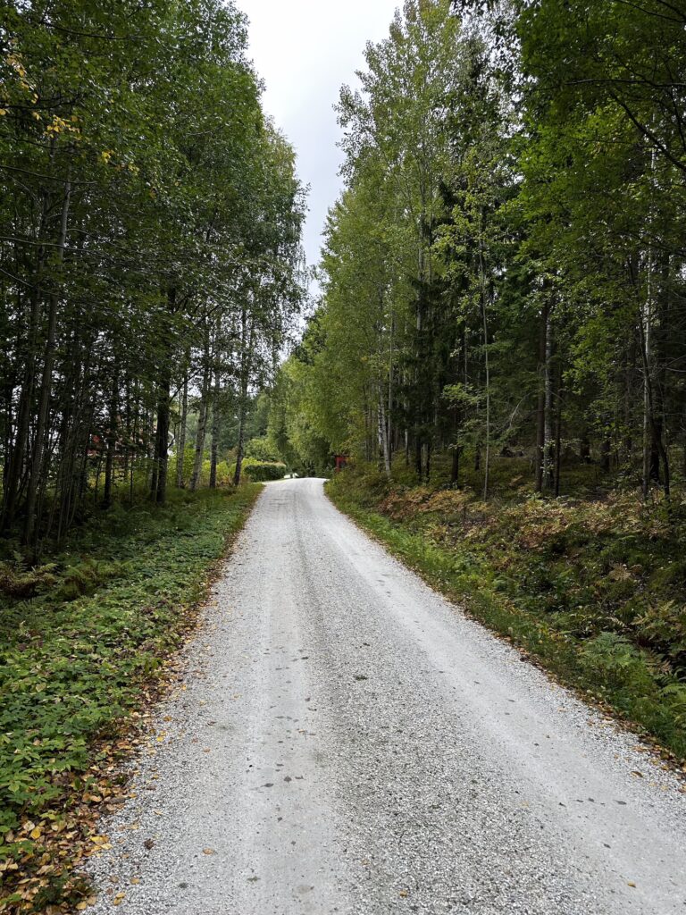 Img 9159