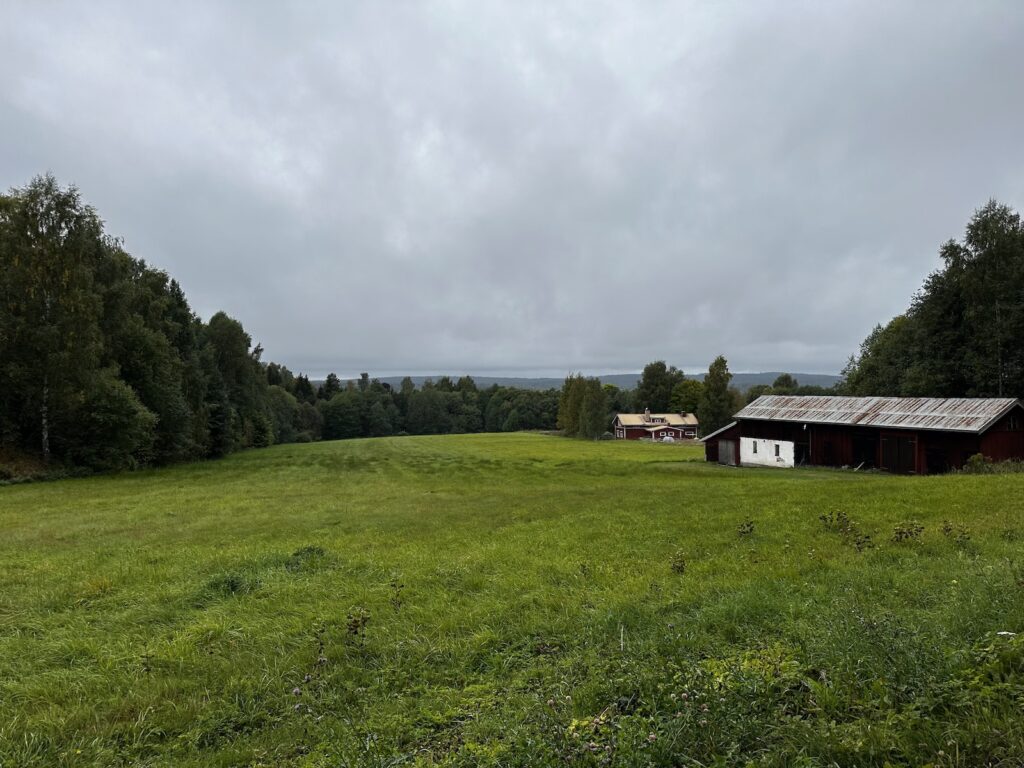 Img 9170