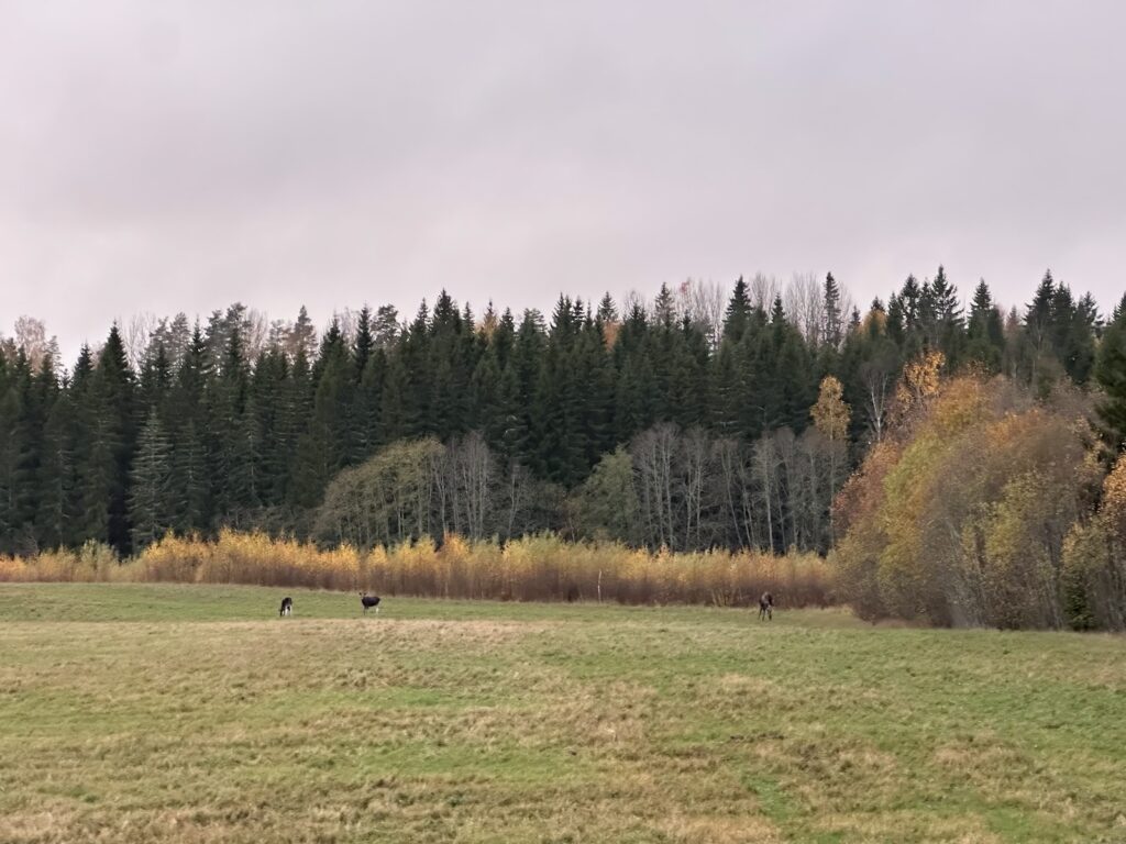 Img 0114