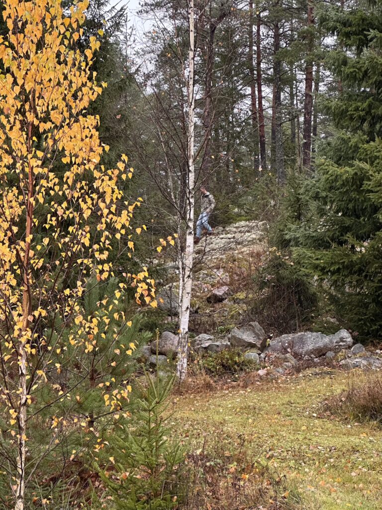 Img 0123