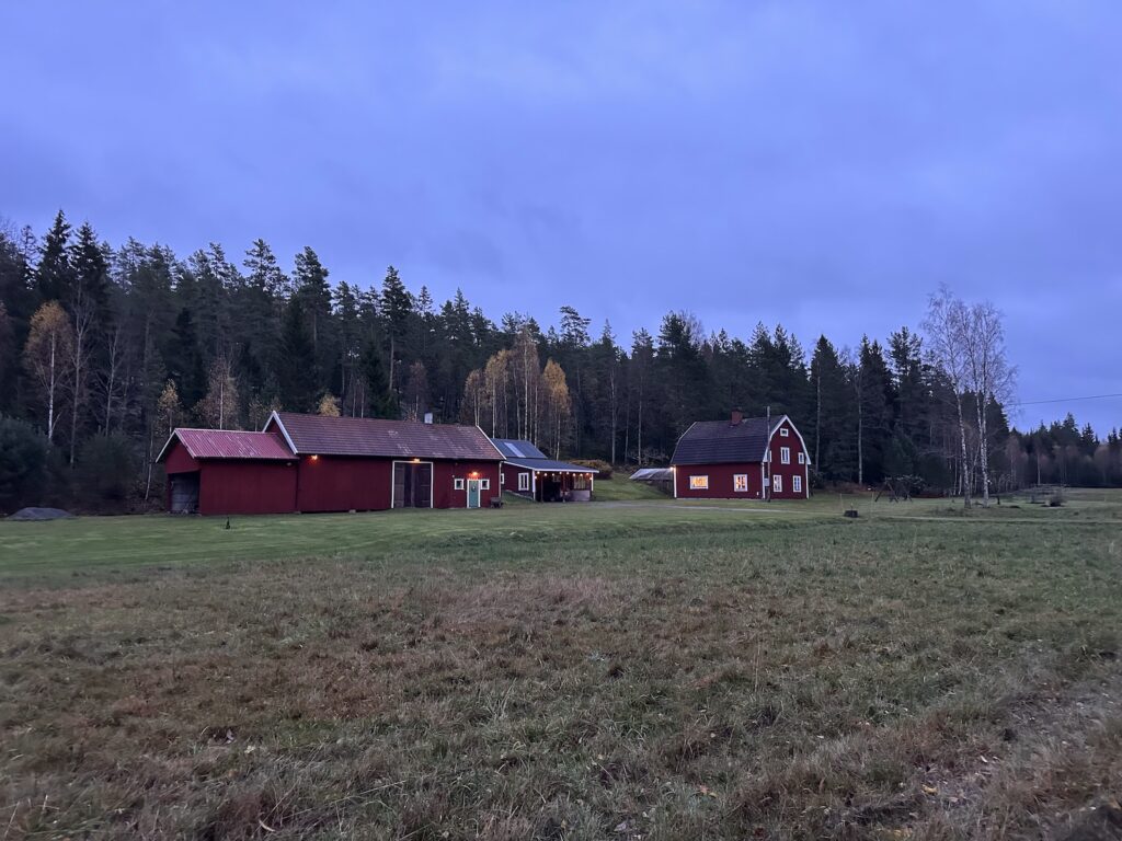 Img 0197