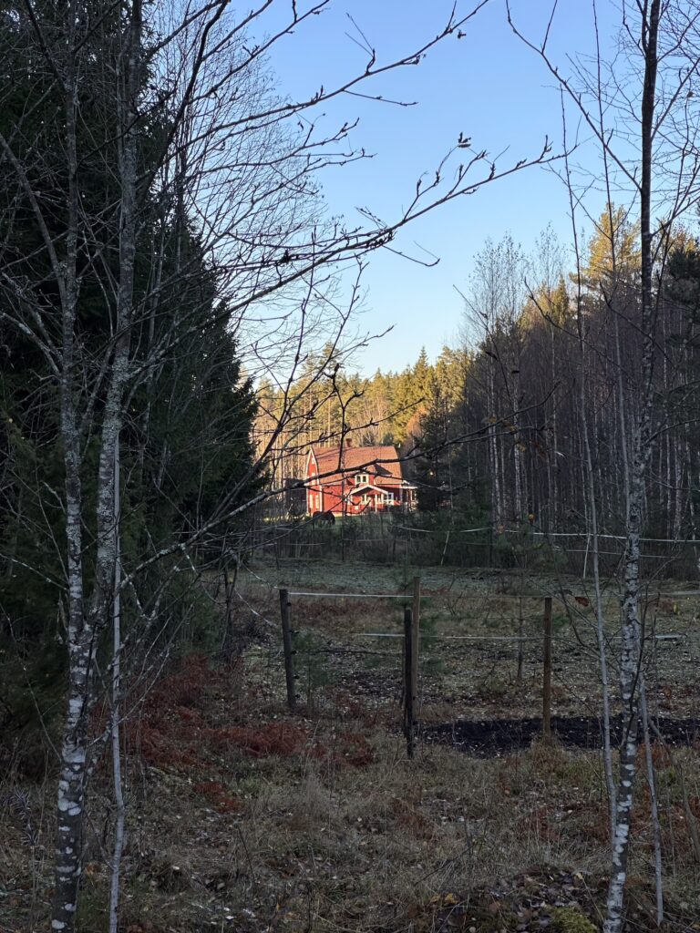 Img 0255