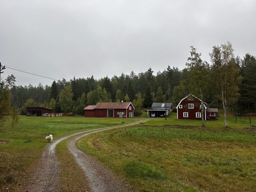 Img 9404 2