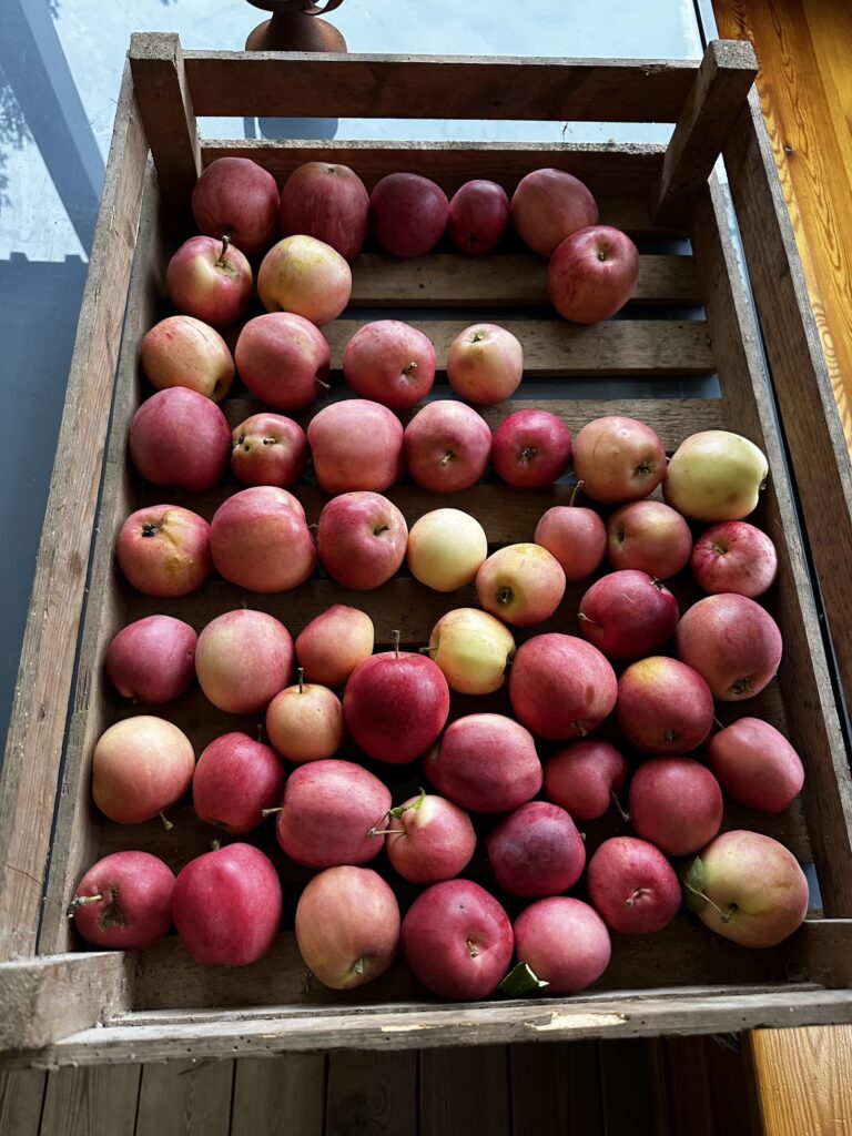 Img 9467 2