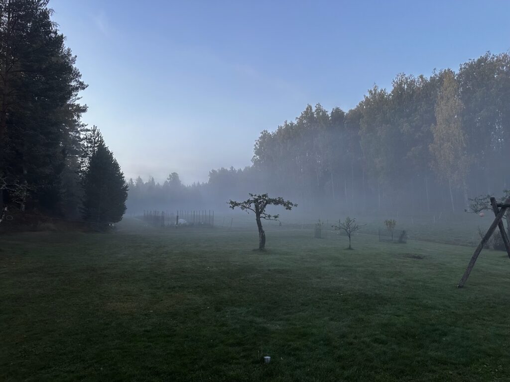Img 9469
