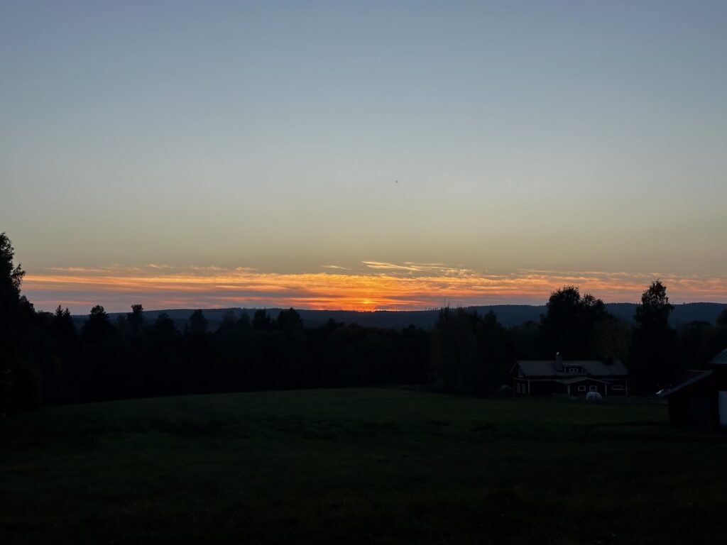 Img 9571