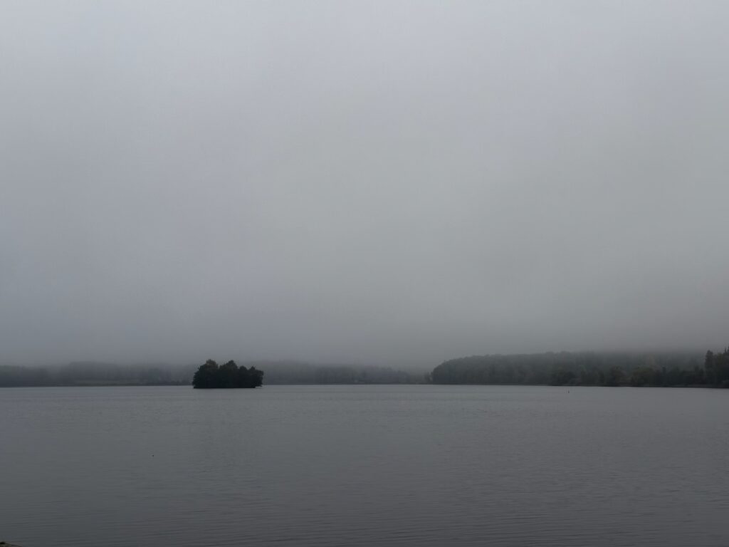 Img 9580