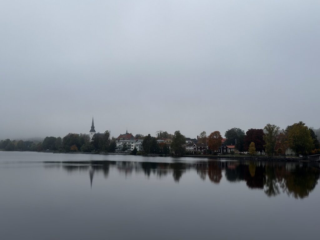 Img 9584