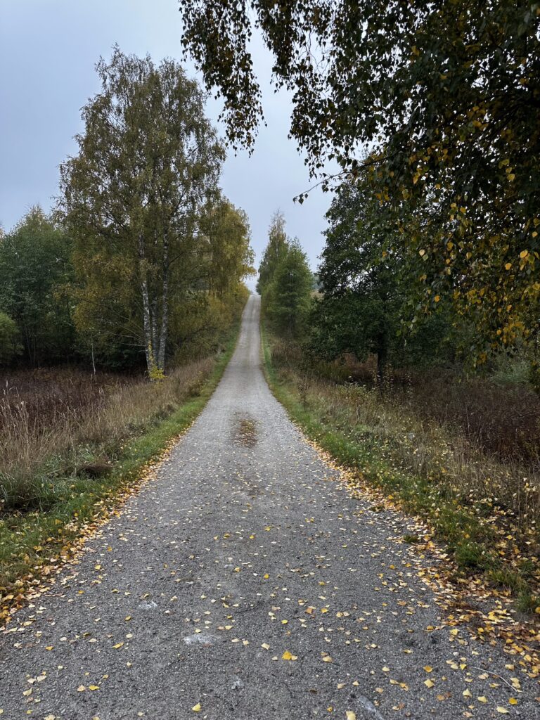 Img 9586