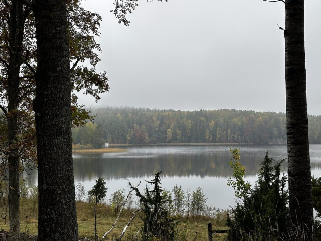 Img 9590