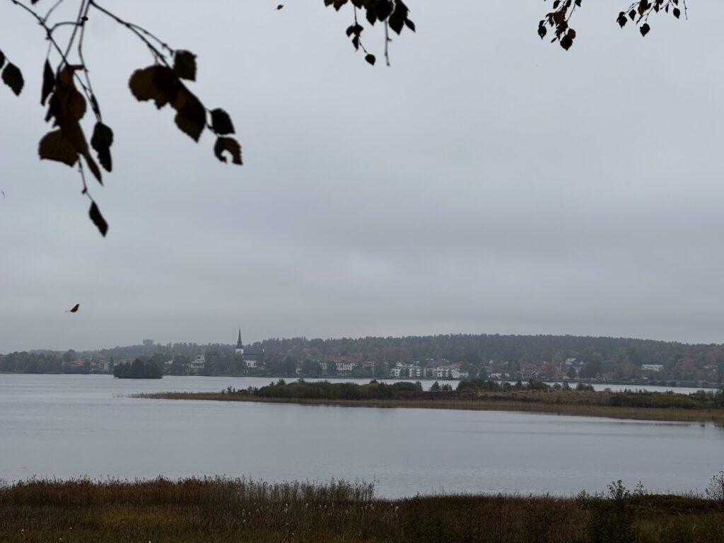 Img 9594 2