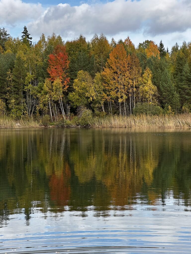 Img 9635