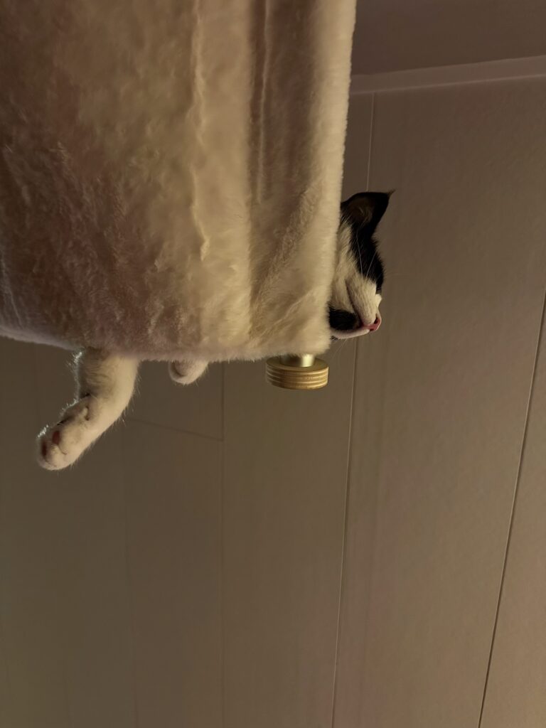 Img 9713