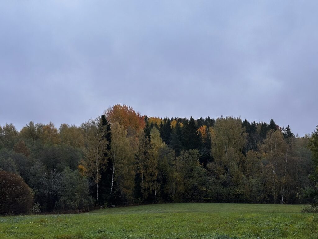 Img 9738 2
