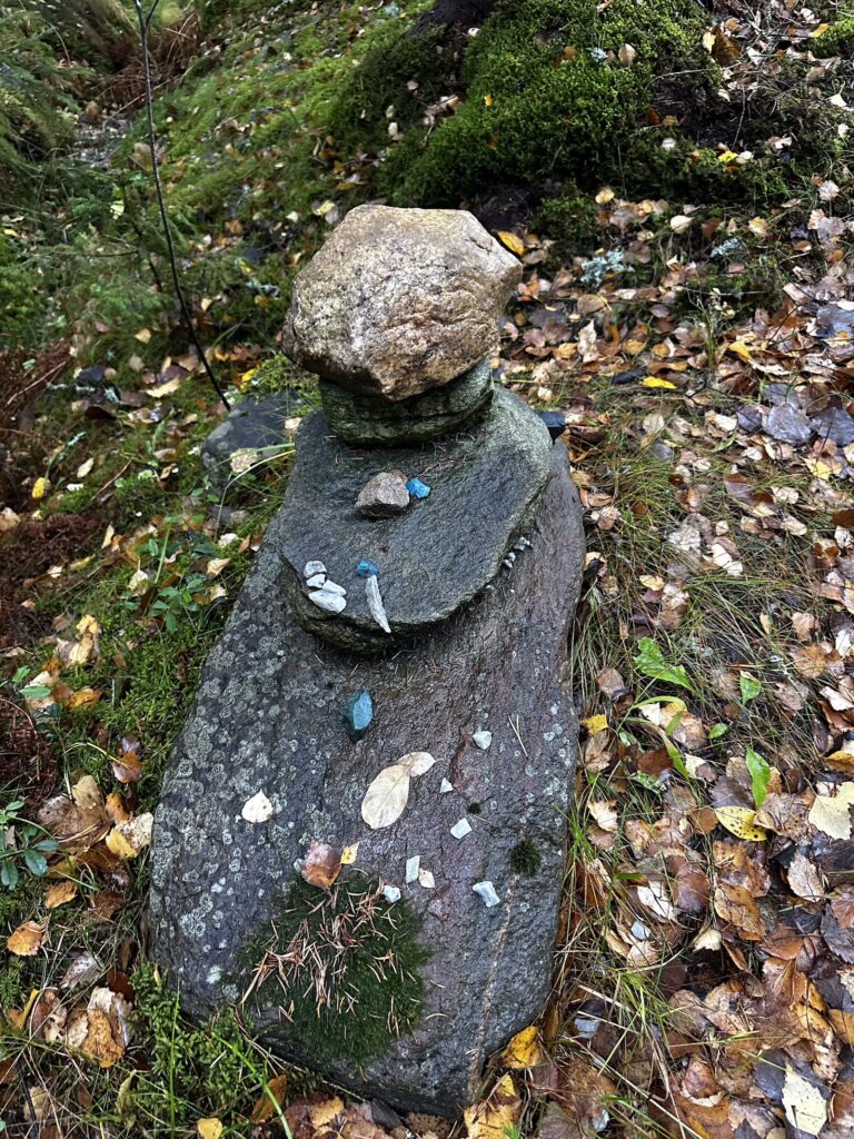 Img 9742