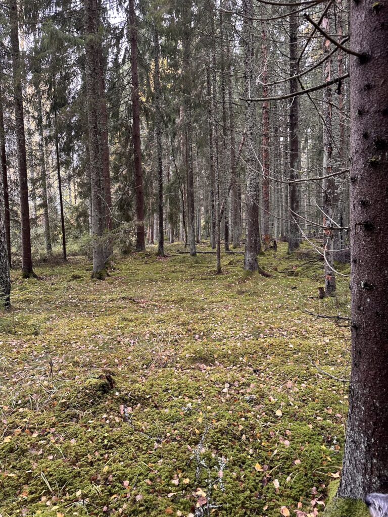 Img 9826