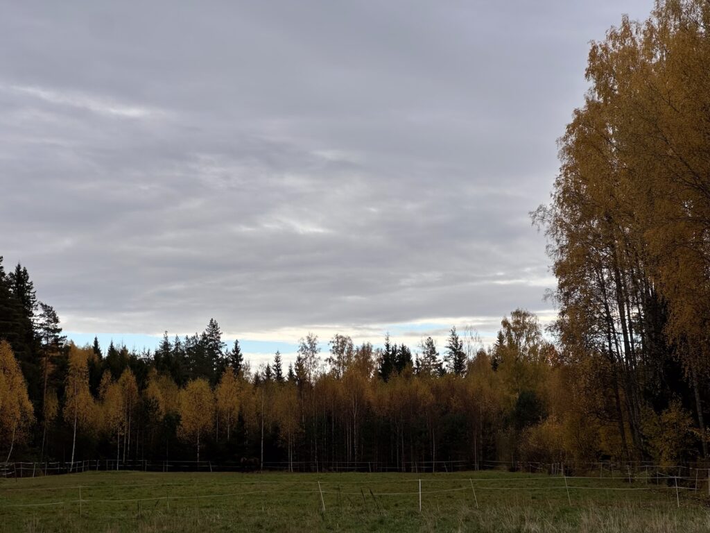 Img 9863