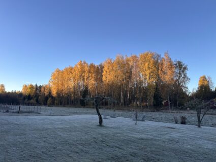 Img 9933