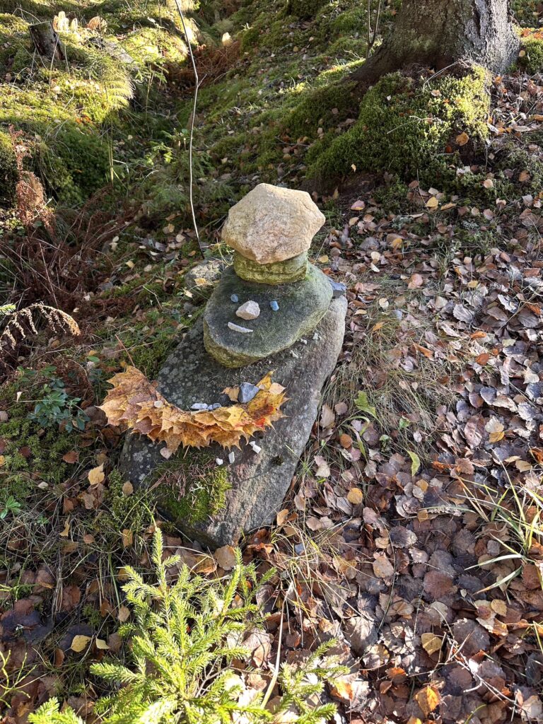 Img 9967